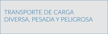 TRANSPORTE DE CARGA DIVERSA, PESADA Y PELIGROSA